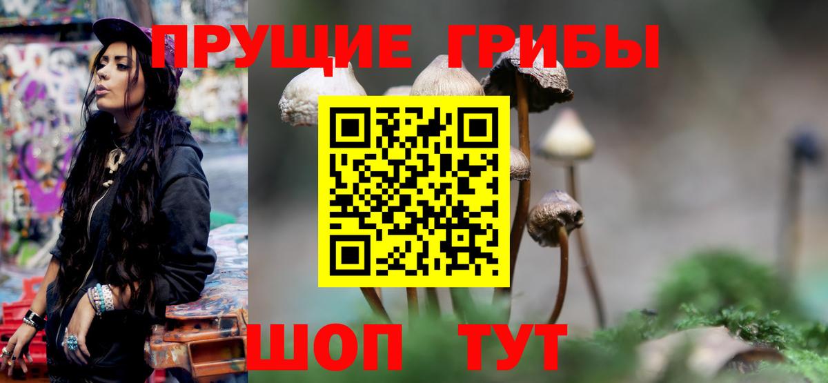 Псилоцибиновые грибы Psilocybine cubensis  Галлюциногенные грибы Magic Shrooms  Гусев  Вход с VPN 