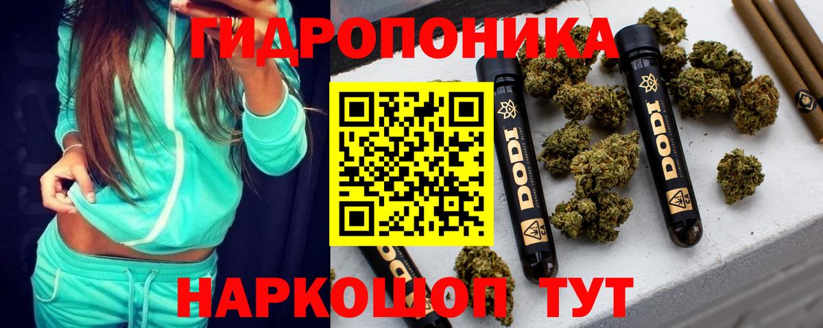 Бошки марихуана семена Гусев
